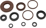 Oil Seal Set