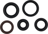 Oil Seal Kit