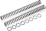 RACE TECH Fork Springs - 0.54 kg/mm FRSP 454754