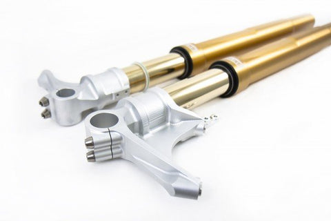 Ohlins FGRT 203 Complete Fork fork - 2012 - 2014 Ducati 1199 Panigale,  2015 - 2017 Ducati 1299 Panigale