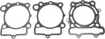 Race Gasket Kit Kaw