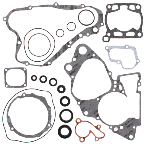 Complete Gasket Set With Oil Seals