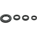 Oil Seal Set