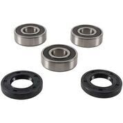 Rear Wheel Bearing Kit