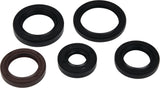 Oil Seal Kit