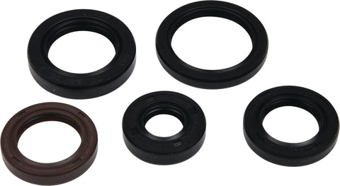 Oil Seal Kit